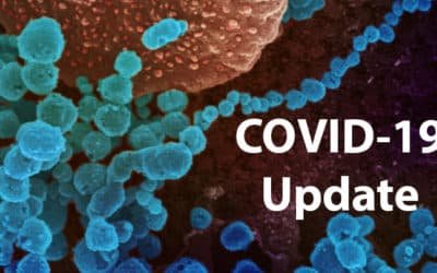 coronavirus: driving tests and theory tests